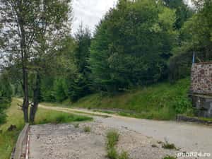 Teren intravilan in Dambu Morii - Timisul de Jos — miniatura 7