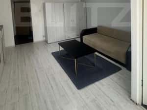 Garsoniera renovata, 33 mp, etaj intermediar — miniatura 3