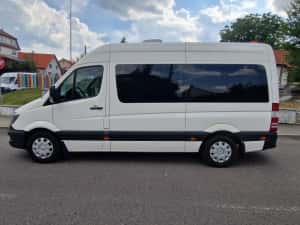 Mercedes Sprinter 313cdi 8+1 locuri — miniatura 8