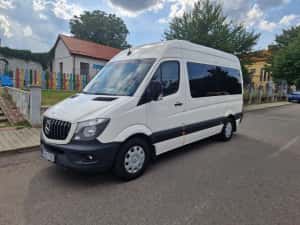 Mercedes Sprinter 313cdi 8+1 locuri — miniatura 9