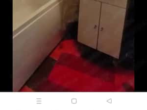 Garsonieră Parter-Timisoara de vânzare — miniatura 5