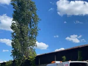 Vidanjare Fosa Septica Ecologica Desfundare — miniatura 5