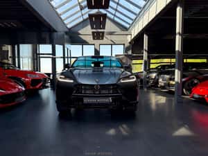 Lamborghini Urus Hibrid Nou 799 cp 2026 — miniatura 4