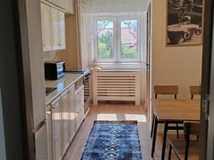 Inchiriez 4 camere Centru Civic pet friendly talie mica — miniatura 4