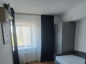 Inchiriez 4 camere Centru Civic pet friendly talie mica — miniatura 5
