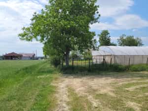 Vand teren intravilan Osorhei sat Fughiu, 20 euro mp, 4332 mp, 8 km de Oradea — miniatura 6