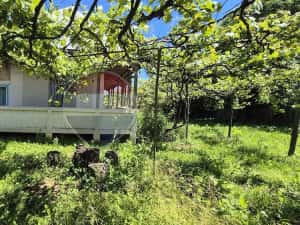 Oportunitate excelentă: Teren generos de 3.500 mp în Comuna Răucești — miniatura 3