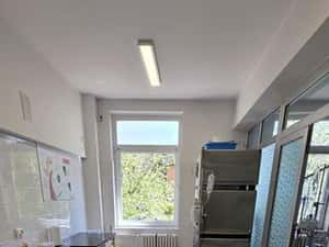 Inchiriere spatiu in vila Sebastian LIDL ideal birouri — miniatura 5