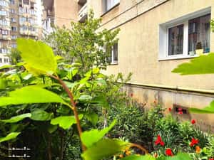 Garsonieră în bloc de apartamente, Vlahuță - ITC, PET friendly