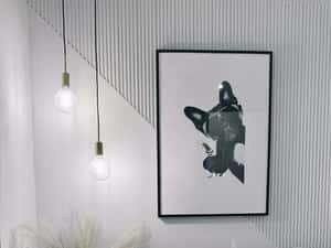 Apartament 3 camere Lux | Inchiriere | Parcare inclusa | Cortina North