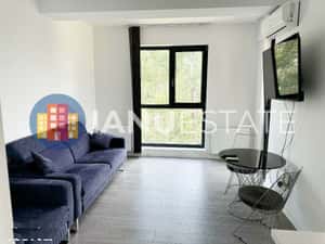 Grozavesti 5`Metrou Politehnica Parc Regie Sp Independentei Centrala — miniatura 3