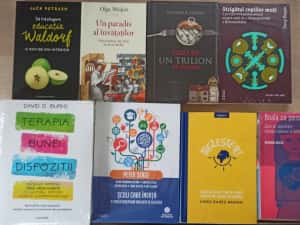 Carti dezvoltare personala, psihologie, sanatate, economie (lichidare biblioteca) — miniatura 7