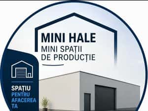 Depozitare Activitati Hale Roman Neamt — miniatura 3