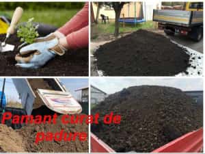 Transport Moloz nisip balastru pamant gazon etc — miniatura 2