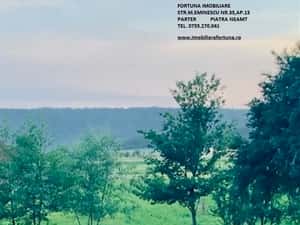 Teren Negresti — miniatura 4