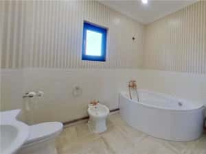 Constructie noua,elegant finisata si echipata,parc privat:1.500 mp, Persani, Brasov — miniatura 9
