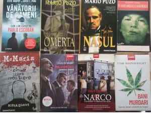 Pachete carti istorie, biografii, literatura moderna (lichidare biblioteca) — miniatura 8