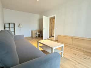 De inchiriat  | Apartament 2 camere | Exigent Plaza Lujerului