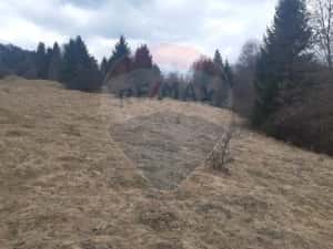 Teren Rasnov, Soseaua Predealului DN73B — miniatura 3