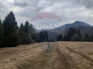 Teren Rasnov, Soseaua Predealului DN73B — miniatura 5