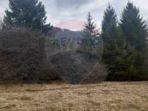 Teren Rasnov, Soseaua Predealului DN73B — miniatura 6