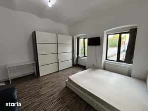 Apartament 1 camera Boul Rosu de inchiriat — miniatura 5