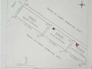 Teren 900 mp, Pantelimon Cernica — miniatura 3