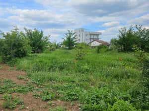 Teren 900 mp, Pantelimon Cernica — miniatura 6