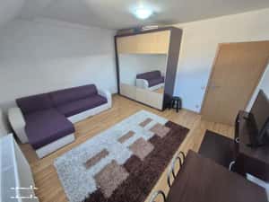 1Cam-Buziasului-5 Min Spital Judetean-Centrala-Mobilat-33MP