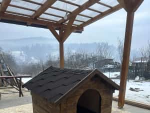 Căsuță Cușcă pentru câini — miniatura 4