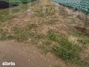 Apartament 2 camere decomandat-Castelul de Apa — miniatura 5