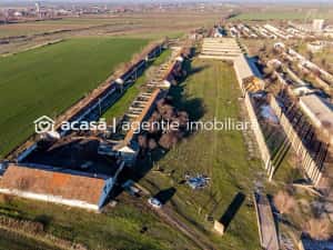 NĂDLAC | Teren 1.15 HA lângă Autostradă | 2.500mp Hale — miniatura 1