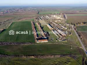 NĂDLAC | Teren 1.15 HA lângă Autostradă | 2.500mp Hale — miniatura 2
