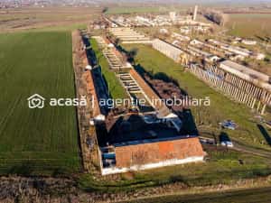 NĂDLAC | Teren 1.15 HA lângă Autostradă | 2.500mp Hale — miniatura 4