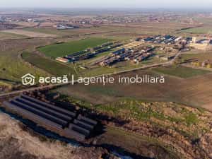 NĂDLAC | Teren 1.15 HA lângă Autostradă | 2.500mp Hale — miniatura 5