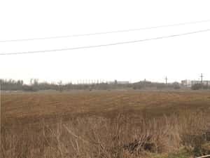 Otopeni - Str. Drumul Garii Balotesti, 30.400 mp. teren ideal dezvoltare imobiliara — miniatura 2