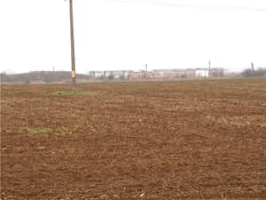 Otopeni - Str. Drumul Garii Balotesti, 30.400 mp. teren ideal dezvoltare imobiliara — miniatura 4