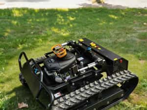 Tocare Profesională Vegetație Cluj și Împrejurimi de la 0,5 lei/mp — miniatura 2