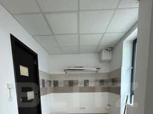 Apartament cu 3 camere, ideal pentru activitati de birou, zona Livezen — miniatura 5
