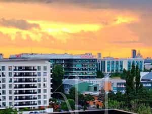3 camere Premium NUSCO CITY |PET FRIENDLY  |PARCARE SUBTERANA |VEDERE