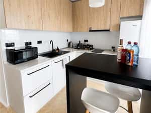 Apartament 1 camera l Tip Studio l Gheorgheni l Modern — miniatura 4