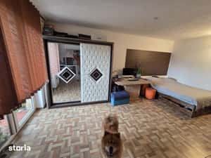 Apartament cu 1 camera str Florilor 34mp — miniatura 6