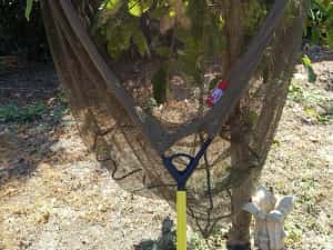 Minciog de Crap cu plasa ECO 3m — miniatura 5