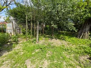 Casa individuala la 2 minute de Wendy School — miniatura 6