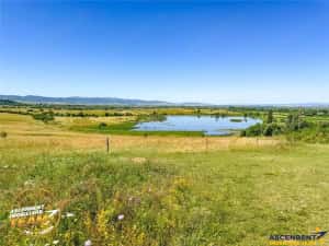 Teren 14.000 mp in statiunea Covasna, ideal pentru rezidential vacanta sau agrement — miniatura 2