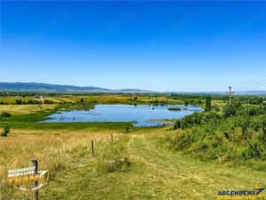 Teren 14.000 mp in statiunea Covasna, ideal pentru rezidential vacanta sau agrement — miniatura 5