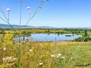 Teren 14.000 mp in statiunea Covasna, ideal pentru rezidential vacanta sau agrement — miniatura 7