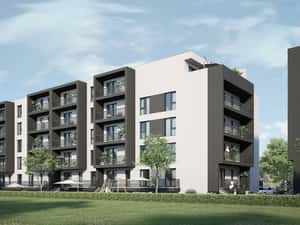 Apartament 2 Ca-- Theodor Pallady — miniatura 6