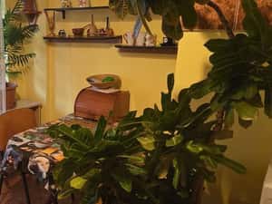 Inchiriez Apartament 2 Camere Ultracentral cu Balcon — miniatura 3