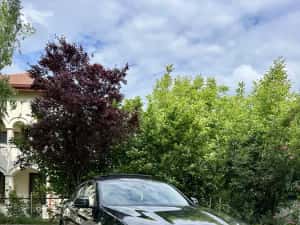 Bmw X4 X line 190 cp Xdrive 2019 Head Up- Panoramic-camere 360 — miniatura 10